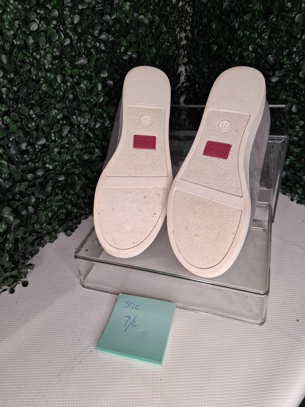 Circus by Sam Edelman Gray Suede Slip-On Sneakers